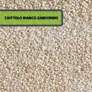 CIOTTOLO BIANCO ZANDOBBIO