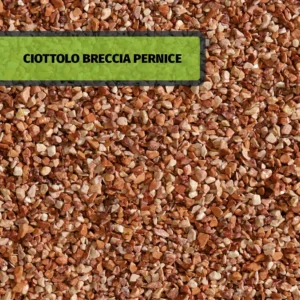 CIOTTOLO BRECCIA PERNICE