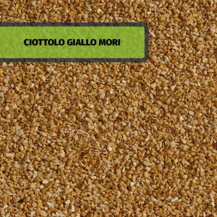 CIOTTOLO GIALLO MORI