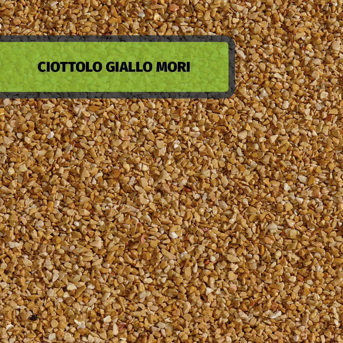 CIOTTOLO GIALLO MORI
