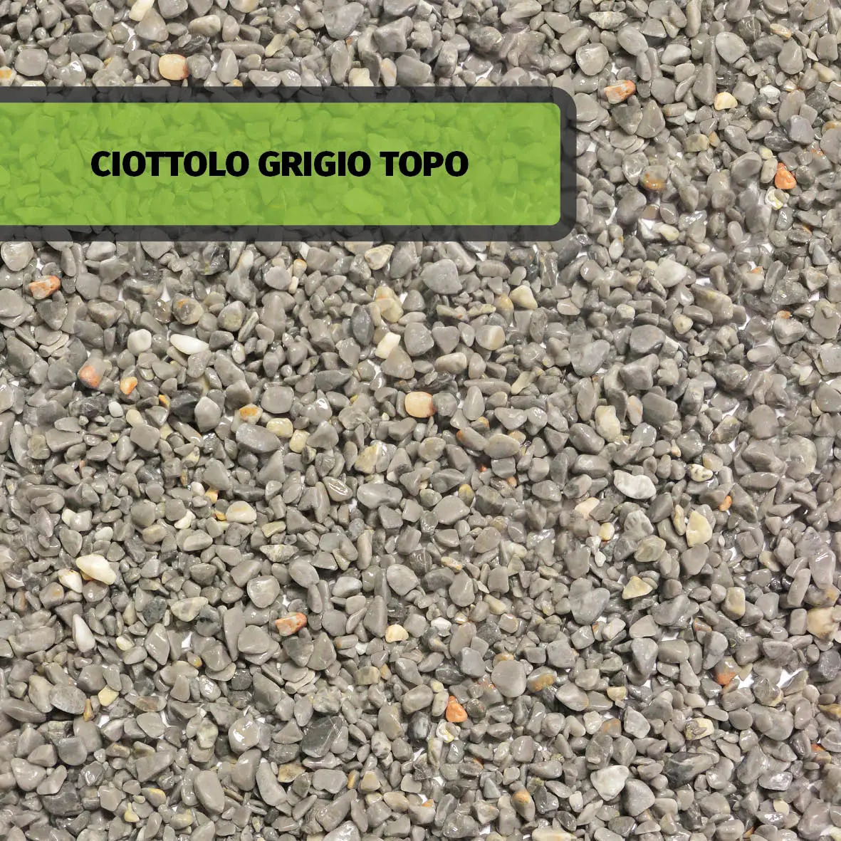 CIOTTOLO GRIGIO TOPO