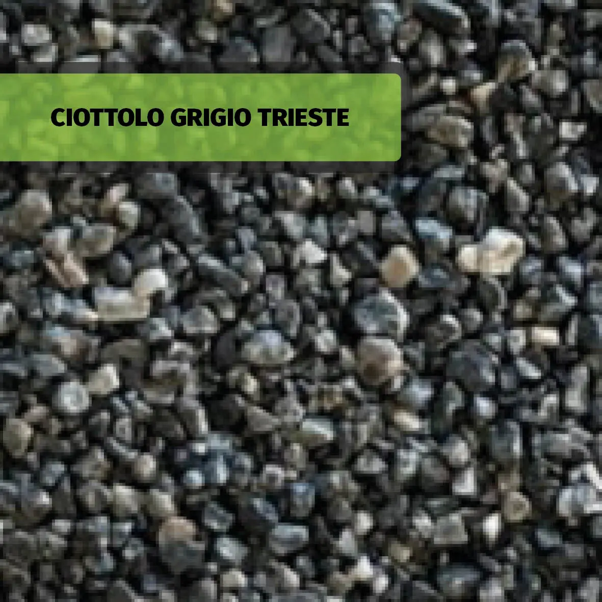 CIOTTOLO GRIGIO TRIESTE
