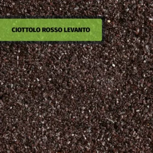 CIOTTOLO ROSSO LEVANTO