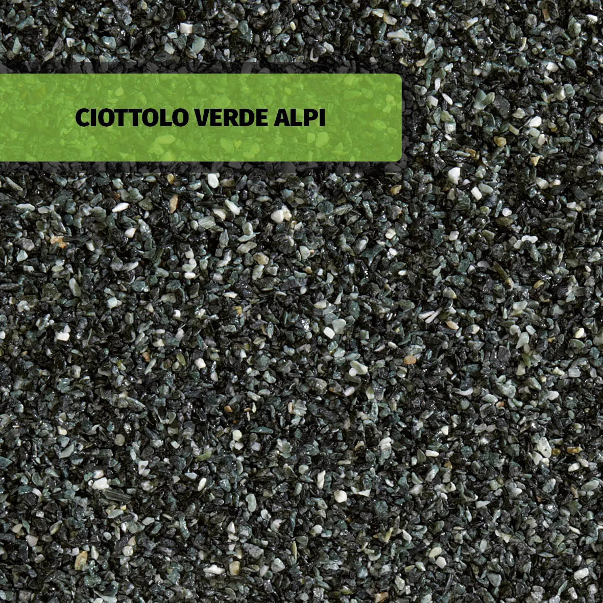 CIOTTOLO VERDE ALPI
